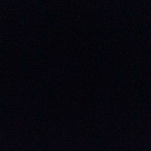 Meet your Posher, Patty